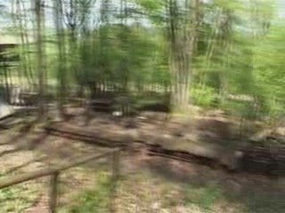 Dimanche de Mai: vieux metiers 2008