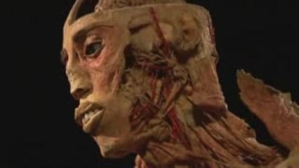 Exposition anatomique Our body