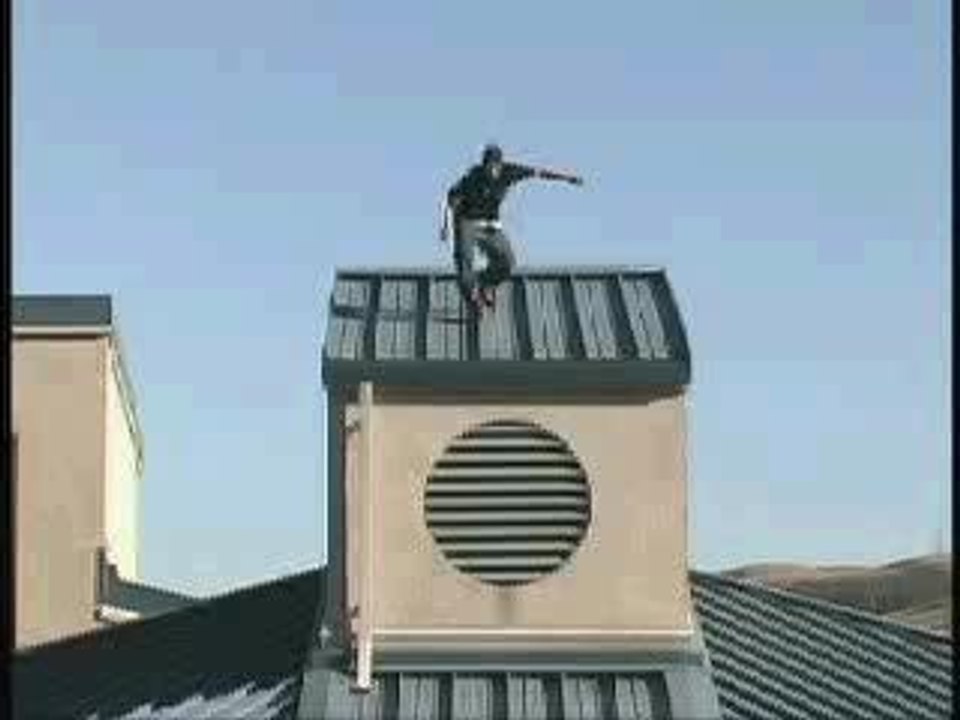 Skaters