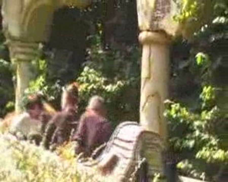 walygator....la bûche