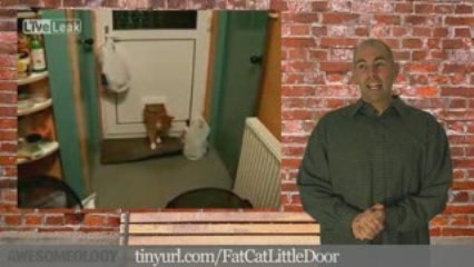 Awesomeology Episode 41 - 3D Baseball Cards, Egg Timer, F...