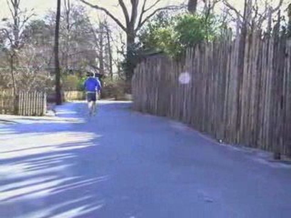 WCS' RUN FOR THE WILD: Celebrate Earth Day!