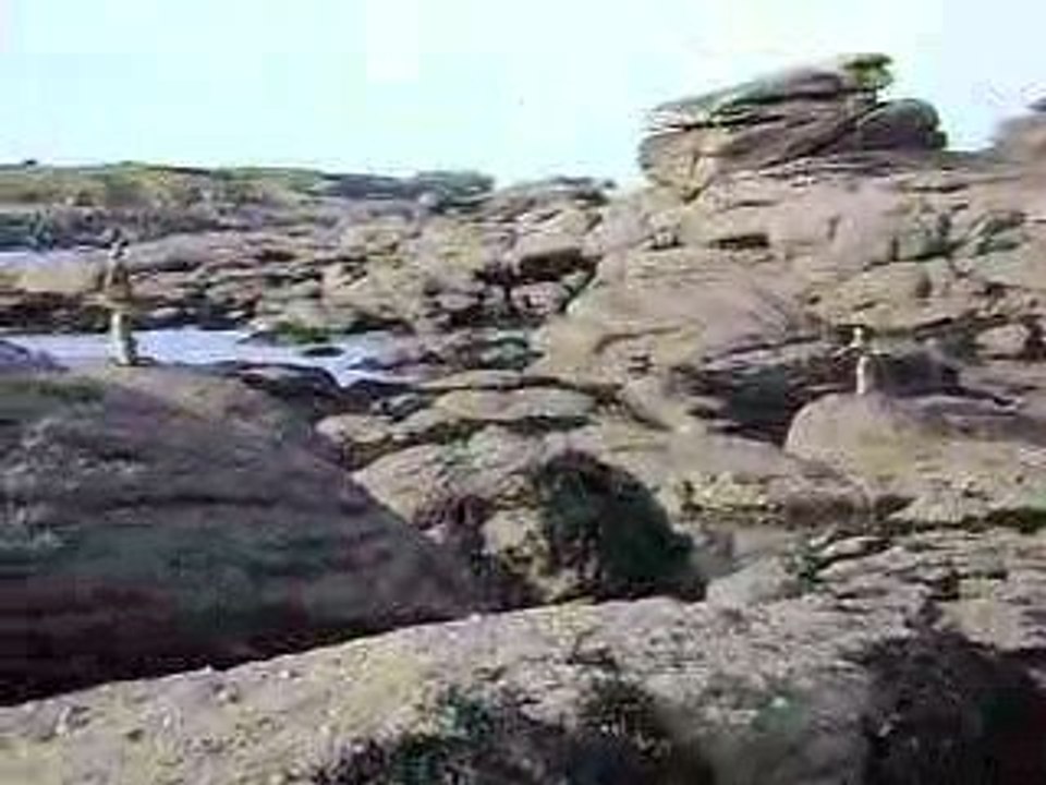 sculpture éphémère 5