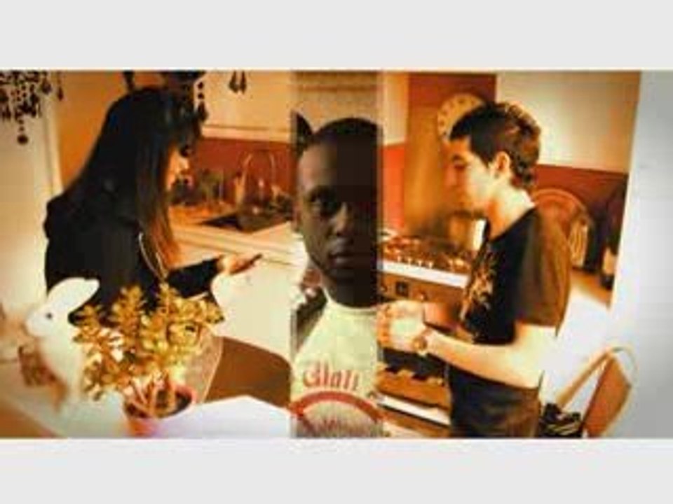 Sexion D'assaut - Anti-tecktonik