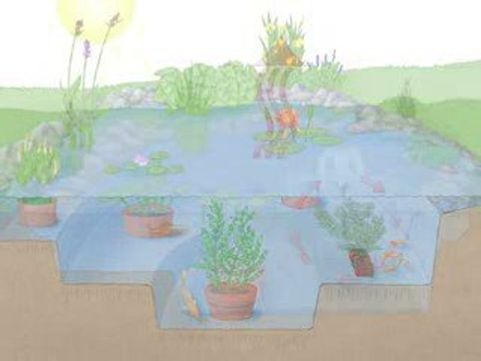 How to Winterize a Pond – The Home Depot