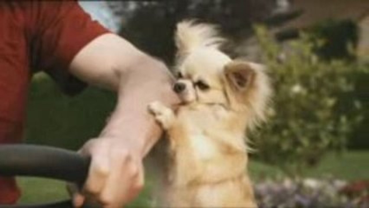 Viking (Stihl) Tracteur de pelouse - Publicite - 12/2008