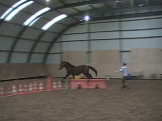 Tennessee 13.03.09 1