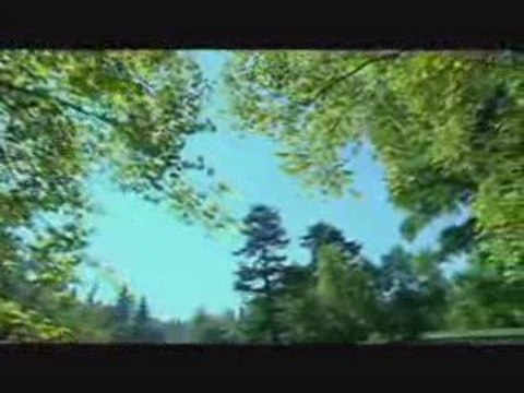 Preslava - ot dobrite momicheta