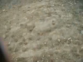 Randonnée du 06 Mars 2009 / 937