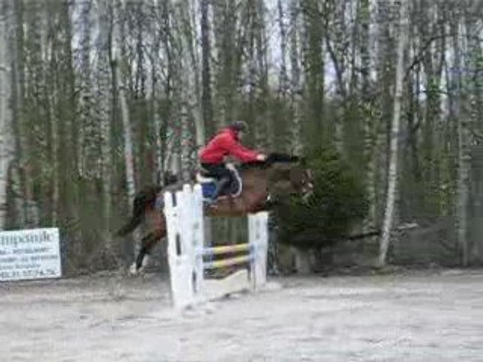 1er jeunes chevaux Roméo à verquigneul
