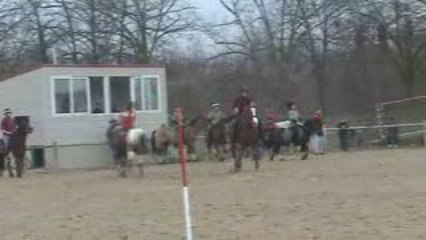 petits fox vincennes