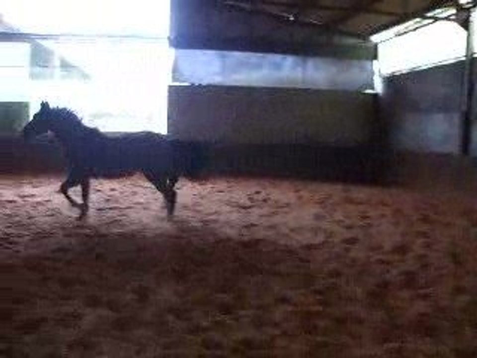 Opium du harveau en saut liberté