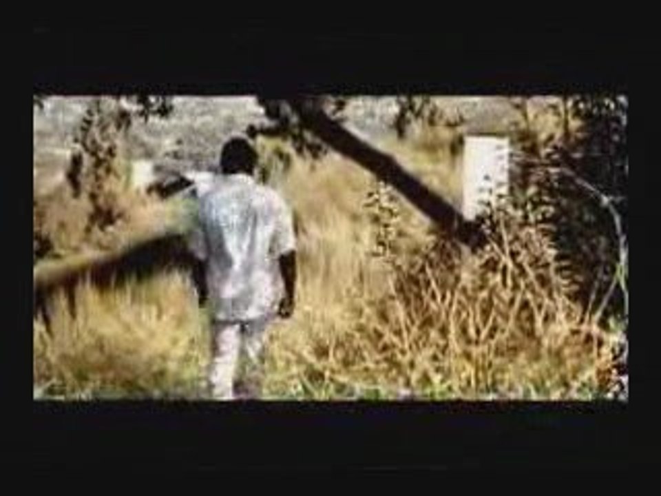 Shadmehr-Taghdir