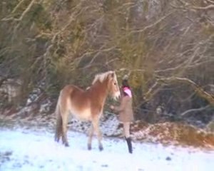 Seance dans la neige