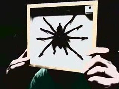 L'empoisonnement par la loi du codex alimentarius...arrive !