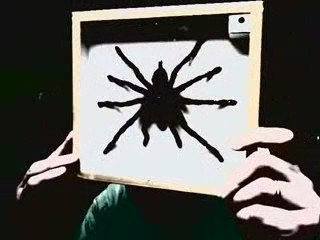 L'empoisonnement par la loi du codex alimentarius...arrive !