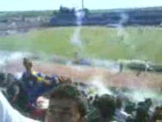 Les Crabes en délire