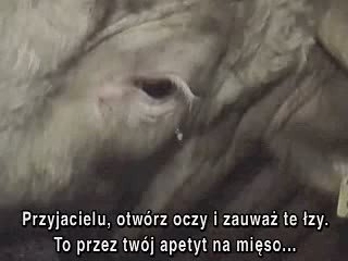 Skrywane łzy za żelazną ścianą