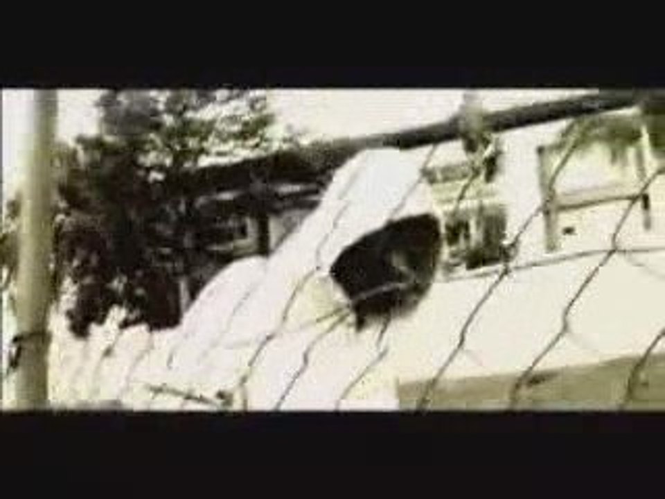 Big yann - Mazik