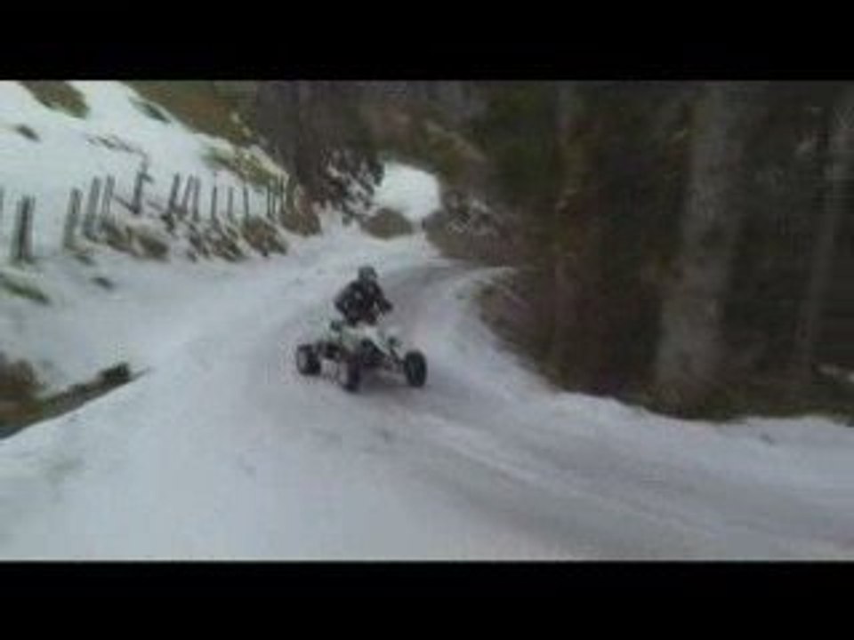 Quadsuzuki 450 ltr