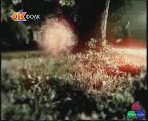 Ceca Zabranjeni Grad