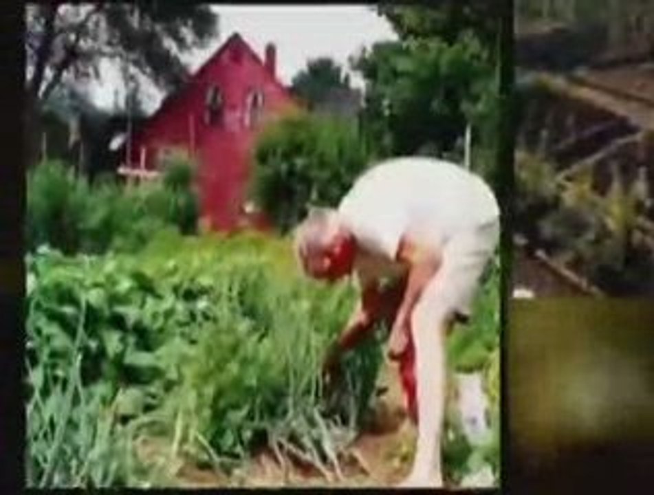 Organic Gardening For Beginners