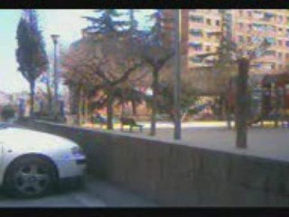 Trailer Silver & Inu
