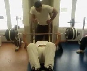 Moha fauvettes 162.5 kgs develloper coucher