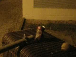 Parodie Retour Vers Le Futur