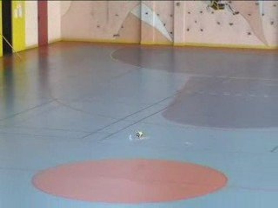 T-rex 250 vol indoor (crash)