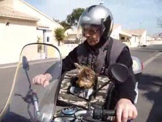 Le printemps est arrivé