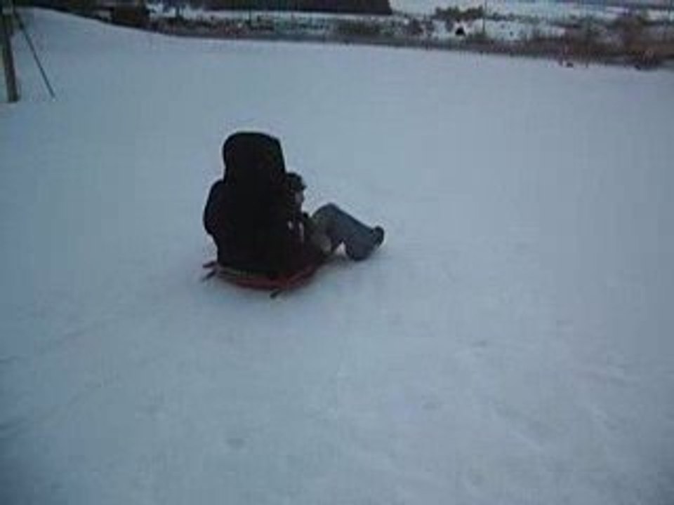 luge