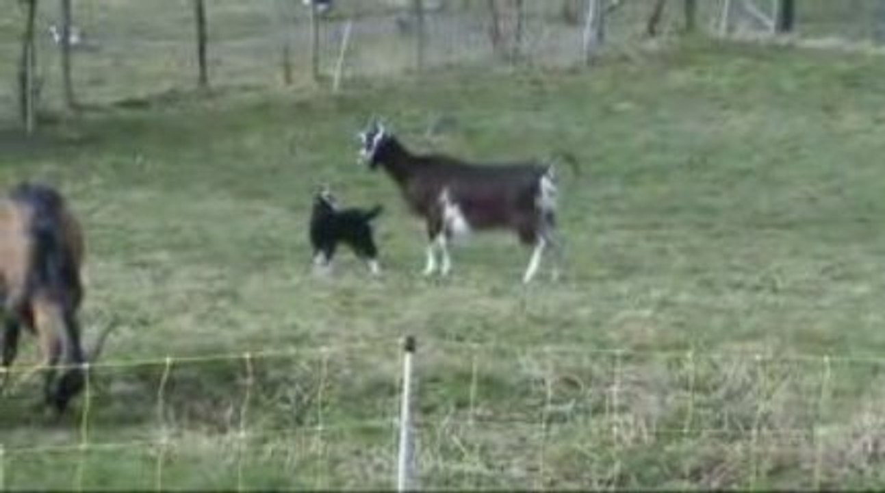 Notre ferme pédagogique - Vanille et compagnie
