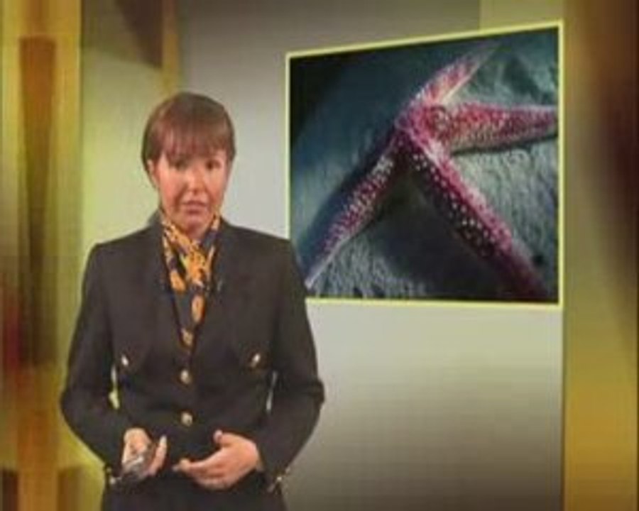 Mensonges concordo créationnistes, doc & mensonges