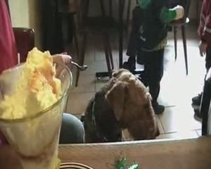 Anniversaire Faya 2009_03_14_16_35_28