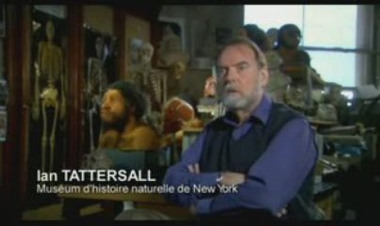 Néandertal code (1/6)