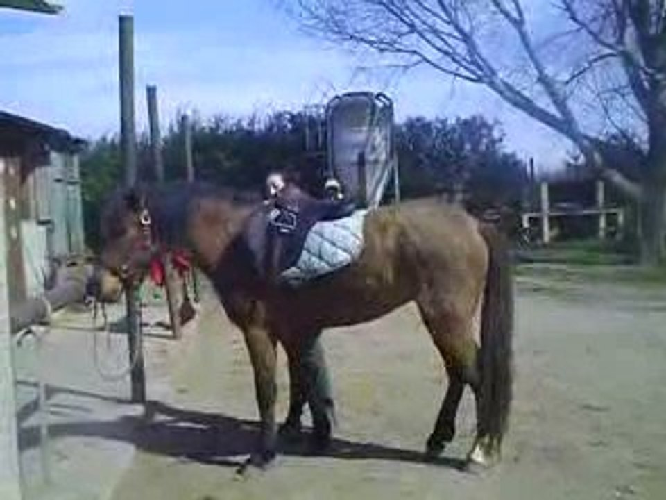 1e selle