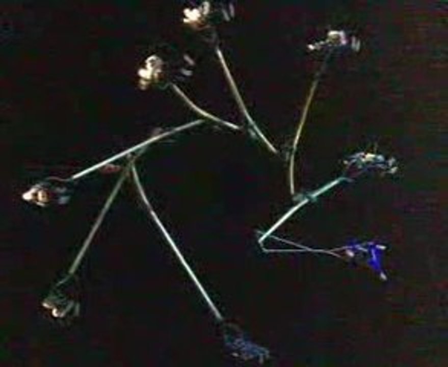 LILLE 3000 europe XXL bal aérien, répétition générale