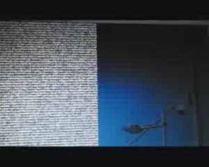 L'étrange poulain d'Amélie Noël (Teaser)