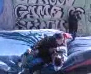 luis et alex jeu de mail