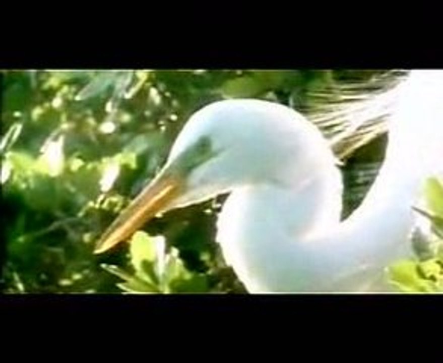 Asma'a  Allah El Hosna                  اسماء الله الحسنى