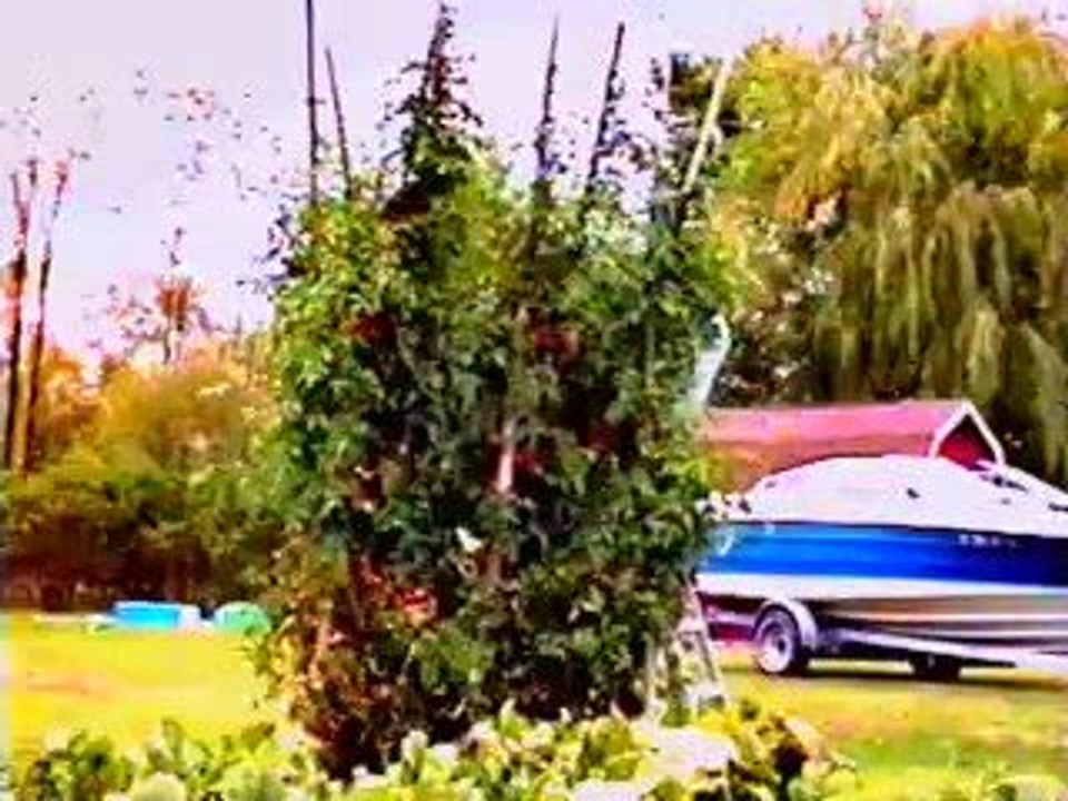 SK Foods educational video #3 about growing Tomatoes.