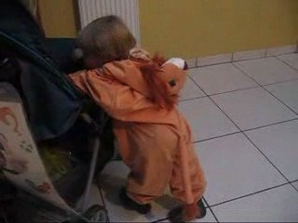 Le petit Lion