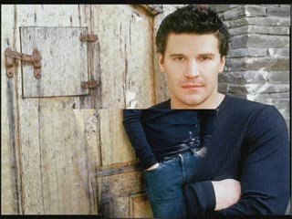 David Boreanaz 2