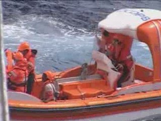 Cruise Addicts: Emerald Princess conducting a rescue