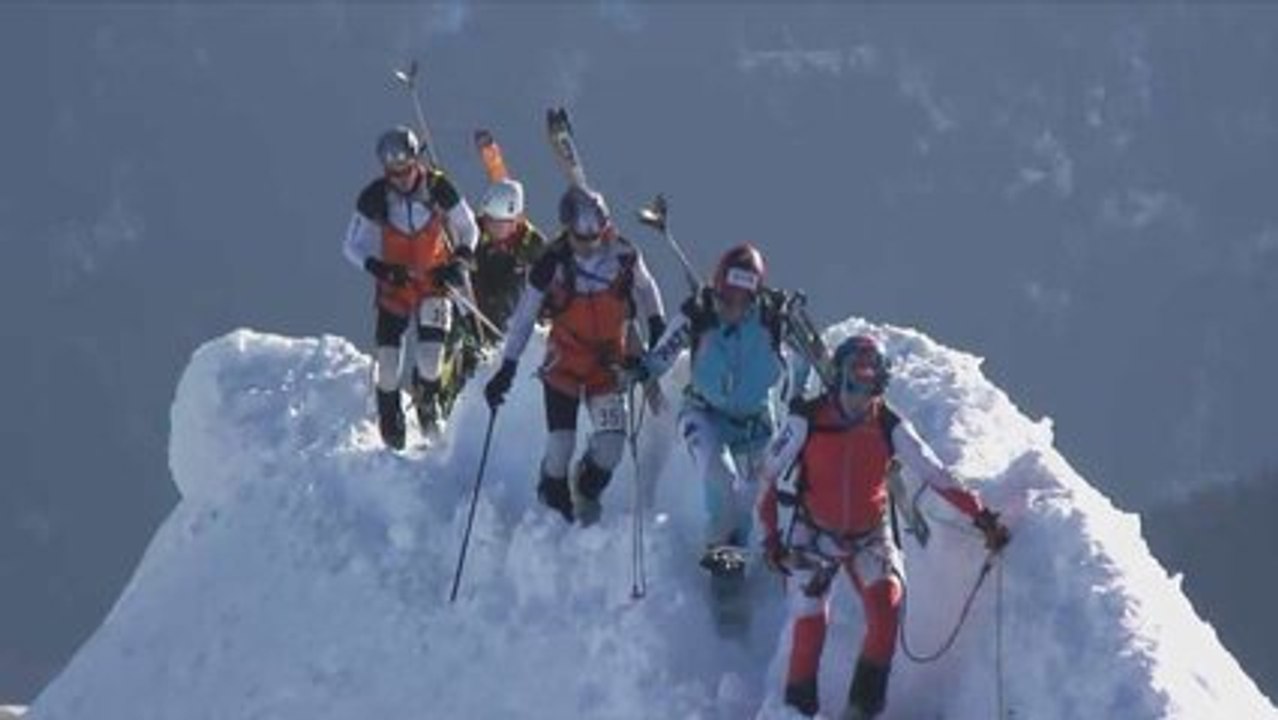 TSF MILLET 2008