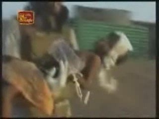 Wanni Operation-LTTE..Stop Genocide Tamil people