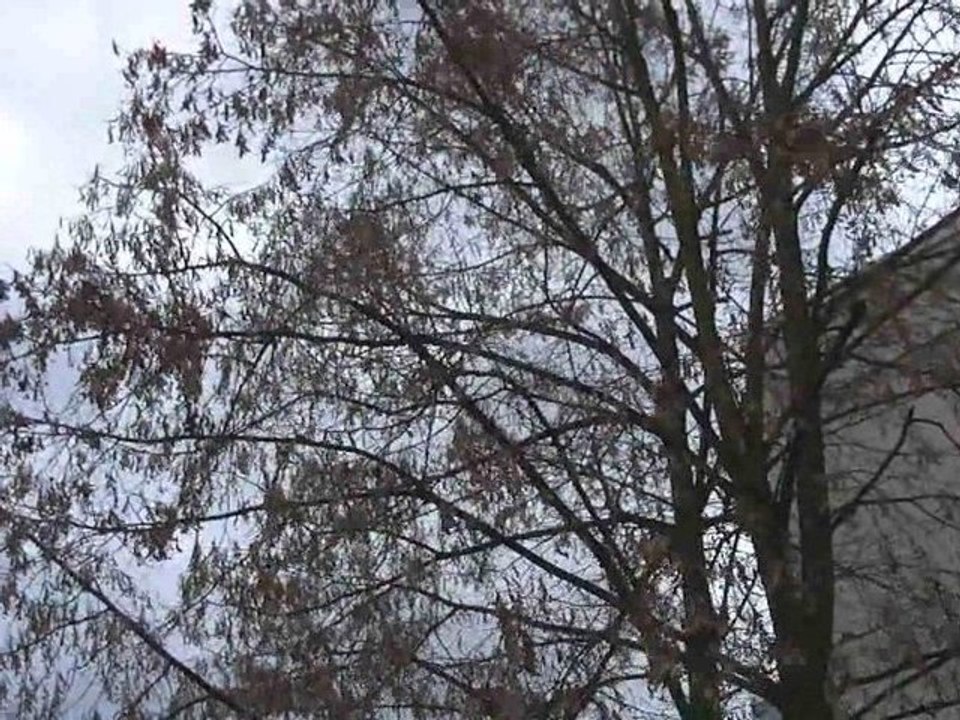 Testvideo