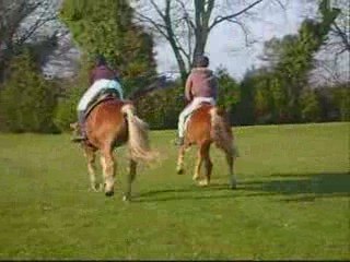 Balade du 21 mars 2009