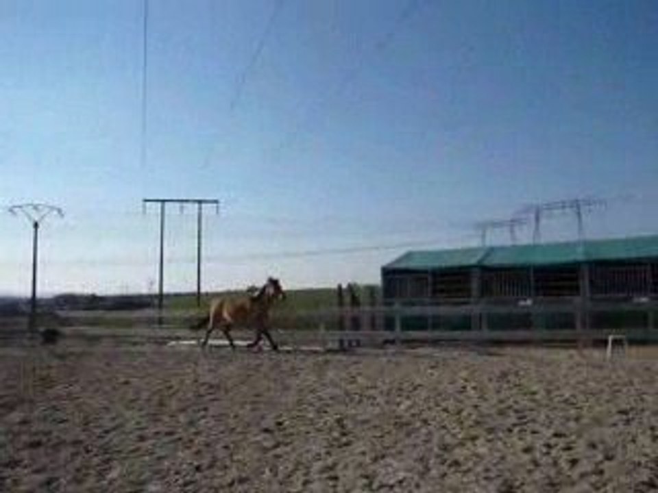 samedi 21 mars